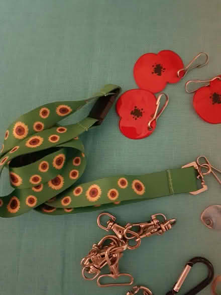 Photo of free Key fobs (Kendal LA9) #2