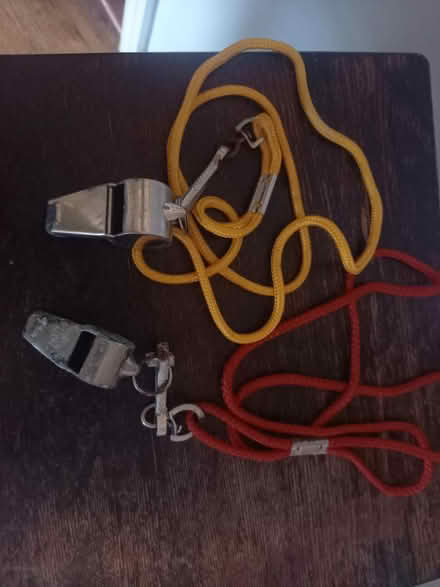 Photo of free Whistles (S12 Gleadless) #1