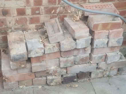 Photo of free Red Bricks (around 170) (Dudbridge GL5) #1