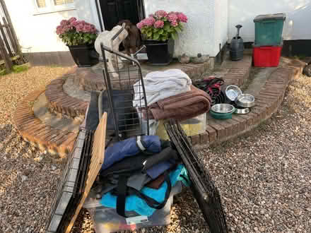 Photo of free Various dog stuff (10 wheatsheaf close CO11) #1