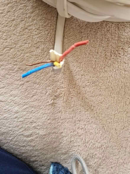 Photo of free Cable (Juniper Green, EH14) #3