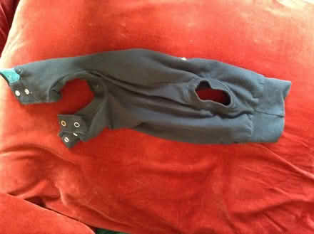 Photo of free Medical Pet Shirt (Upper Bevendean BN2) #2
