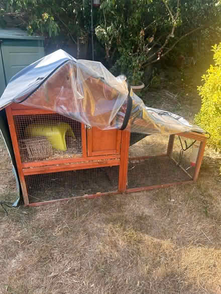Photo of free Indoor and outdoor guinea pig cages (North Tonbridge TN10) #2