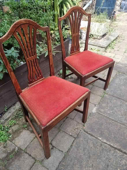 Photo of free Solid wood dining chairs (Hunters Bar S11) #1