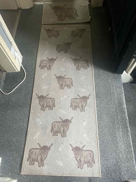 Photo of free Rugs (Skerton LA1) #1
