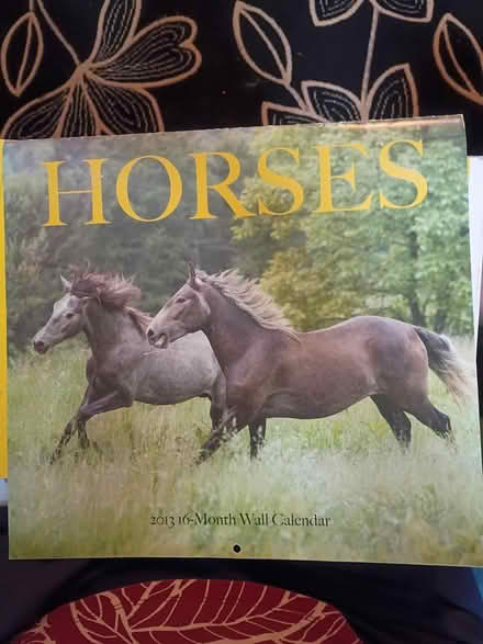 Photo of free Horses calendar (not 2026) (W section, Bowie) #1
