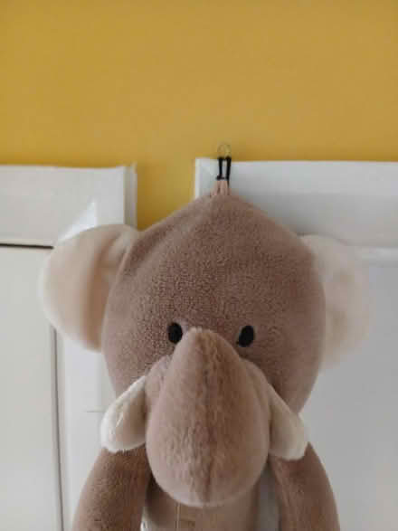 Photo of free Elephant height chart (Langney BN23) #2