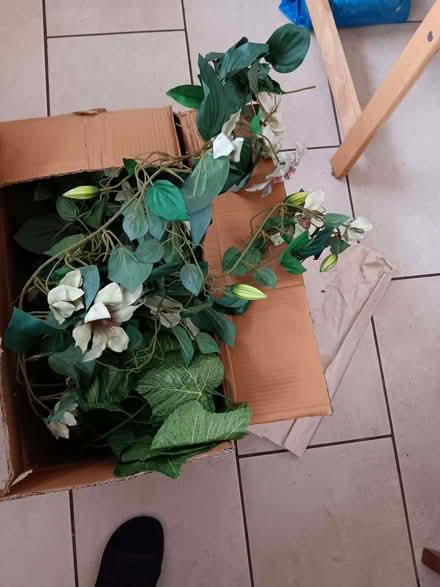 Photo of free plastic flowers decor 2 boxes (Paradise DY2) #3