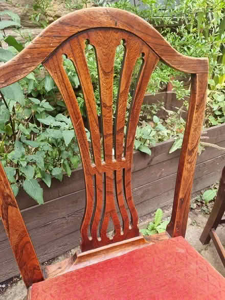 Photo of free Solid wood dining chairs (Hunters Bar S11) #2