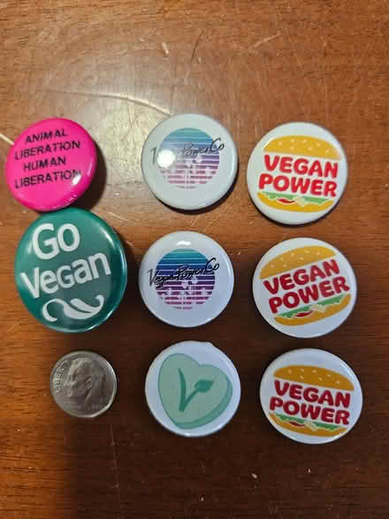 Photo of free Little vegan pins (Waltham) #1