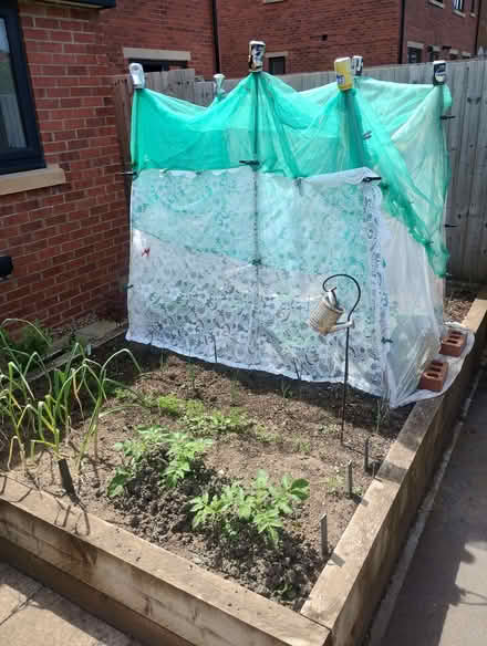Photo of Wooden sleepers for raised bed (Woodhouse S13) #3