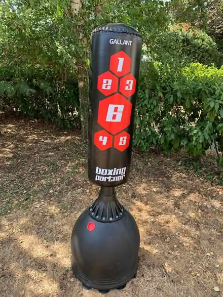 Photo of free Punch bag, puching mannequin thingy (West Molesey (KT8)) #1