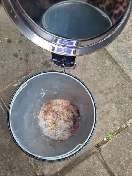 Photo of free Brabantia pedal bin size D (Hunters Bar S11) #2