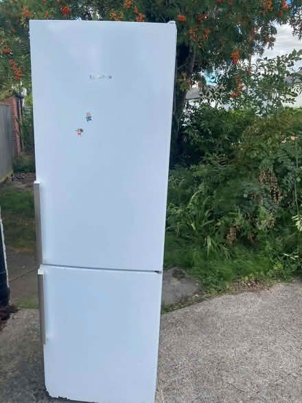 Photo of free Bosch Fridge/freezer (Florence Park OX4) #1