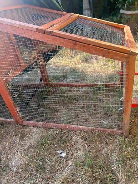 Photo of free Indoor and outdoor guinea pig cages (North Tonbridge TN10) #3