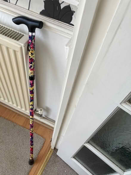 Photo of free Walking stick (Willingdon BN22) #1