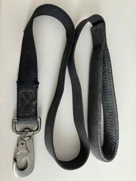 Photo of free Heavy duty dog lead (Morden SM4) #1