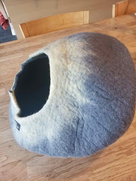 Photo of free Cat Igloo (Great Asby CA16) #1