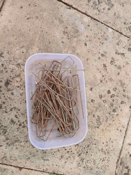 Photo of free Garden netting pegs (Hertford SG13) #1