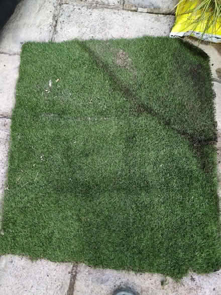Photo of free Artificial grass (Sothall S20) #1
