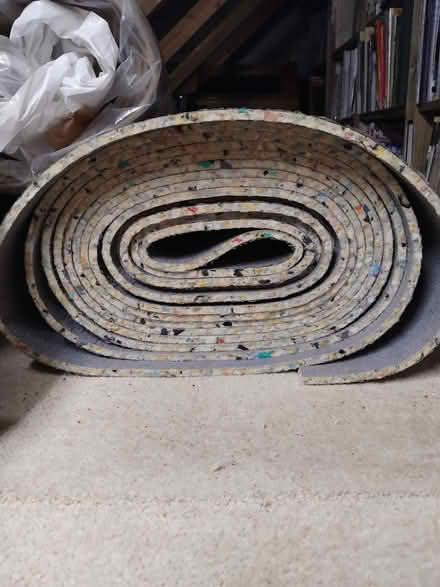 Photo of free Roll of carpet underlay (Bradpole DT6) #1