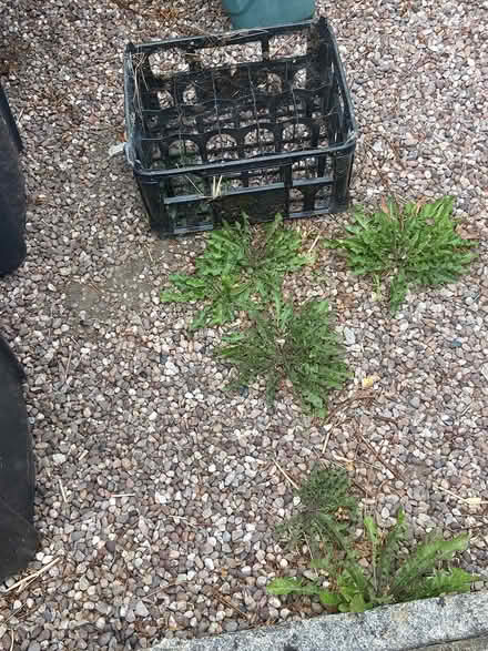 Photo of free Milk crate (Cromford DE4) #1