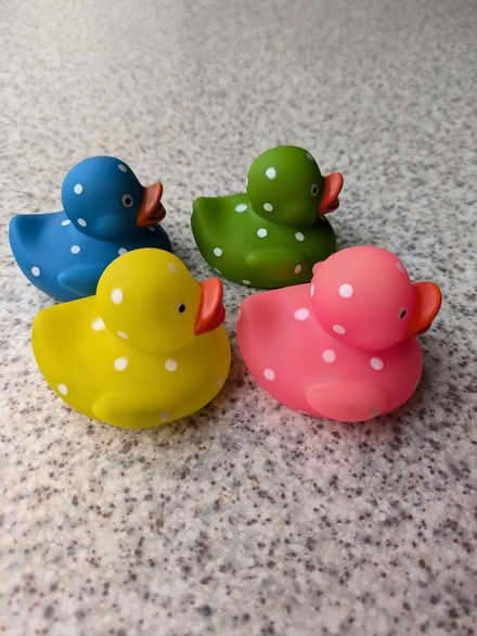 Photo of free Rubber Ducks (Warley CM14) #2