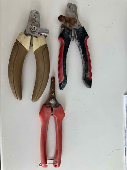Photo of free Dog nail clippers (Morden SM4) #1