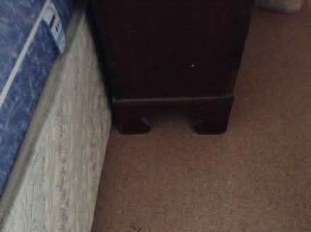 Photo of free Glass fronted dark wooden shelves (Ely CB6 west end) #2