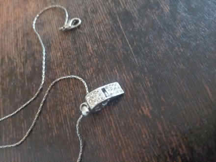Photo of free Whistle necklace (S12 Gleadless) #1