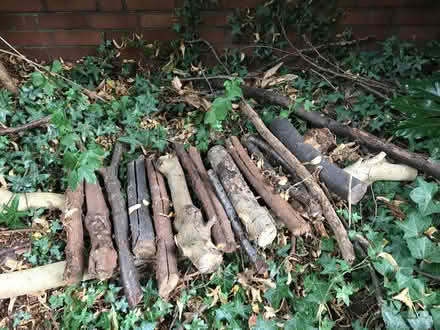 Photo of free Logs (Moseley B13) #2