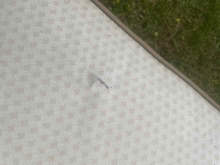 Photo of free Patio chairs (Great Sankey WA5) #2