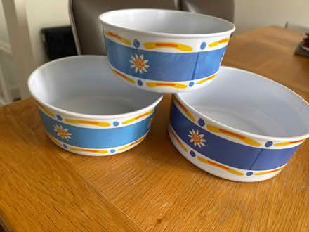Photo of free Plastic serving bowls (Oakwood Derby) #1