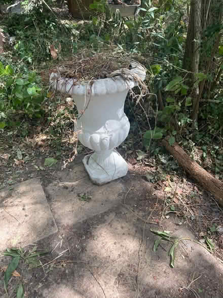 Photo of free Large pot (Tunbridge wells TN4) #1