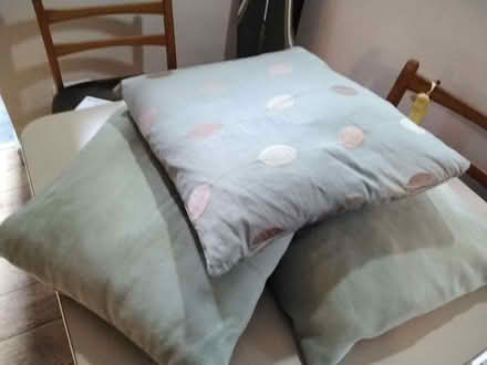 Photo of free Collection. cushions (Delapre NN4) #1