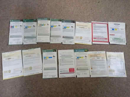 Photo of free Allotment seeds (Horsham, RH13 5) #2