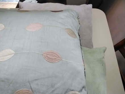 Photo of free Collection. cushions (Delapre NN4) #3