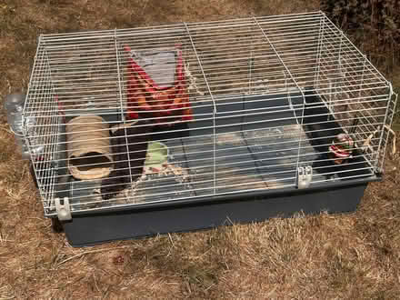 Photo of free Indoor and outdoor guinea pig cages (North Tonbridge TN10) #1