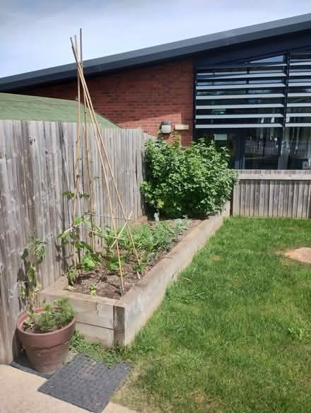 Photo of Wooden sleepers for raised bed (Woodhouse S13) #1