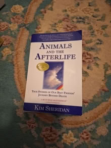 Photo of free book 20874 Animals & the Afterlife #1