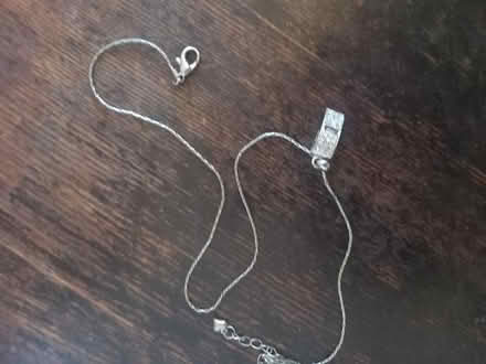 Photo of free Whistle necklace (S12 Gleadless) #2