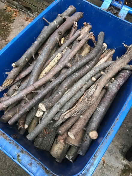Photo of free Logs (Moseley B13) #3