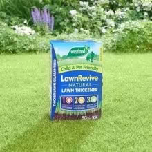 Photo of free Lawn grass thickener (RM9 Upney/Becontree) #1