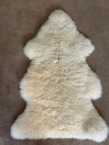 Photo of free Australian Sheepskin (Sir Francis Drake near Redhill) #1