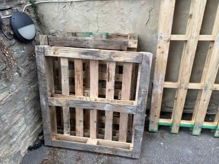 Photo of free Pallets (Cirencester GL7) #4
