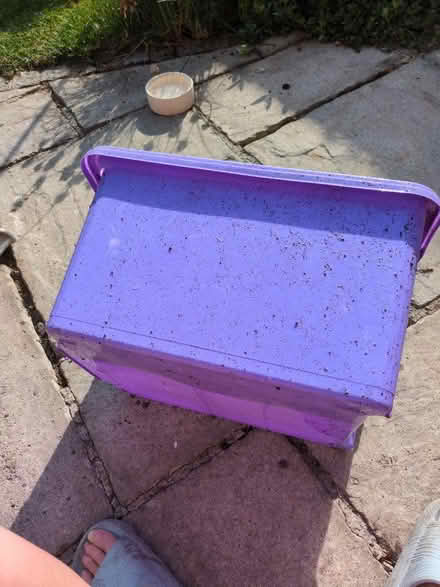 Photo of free Plastic box (Sothall S20) #1
