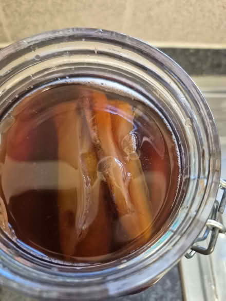 Photo of free Kambucha Scoby (Greater Leys OX4) #3