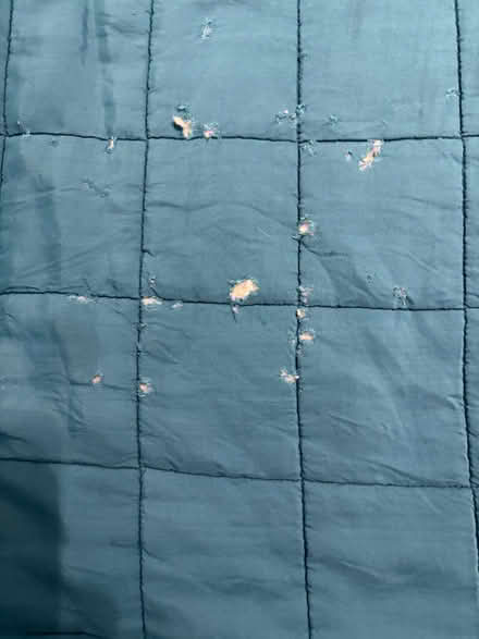 Photo of free king size quilt (Willington DE65) #2