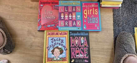 Photo of free Jacqueline Wilson books (ME15 Westmorland Road) #1