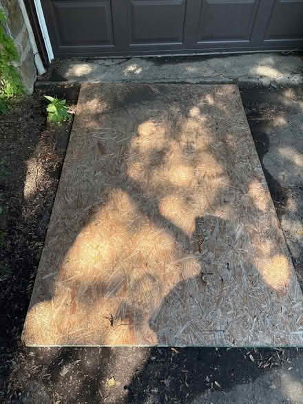 Photo of free Plywood 48"x75" (Elkins Park. PA) #1